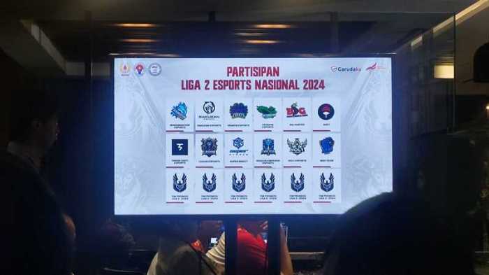 Liga Esports Nasional 2024 dan Jadwal Hadiah, serta Tim Peserta